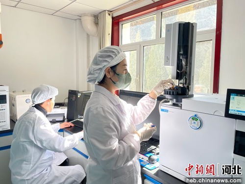 以科技創新為引擎，厚植新質生產力發展根基 河北寬城的技術開發之路