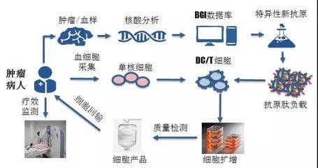 煜森資本 華大吉諾因攜「腫瘤新生抗原」誘導技術亮相AACR，開啟精準免疫治療新高度